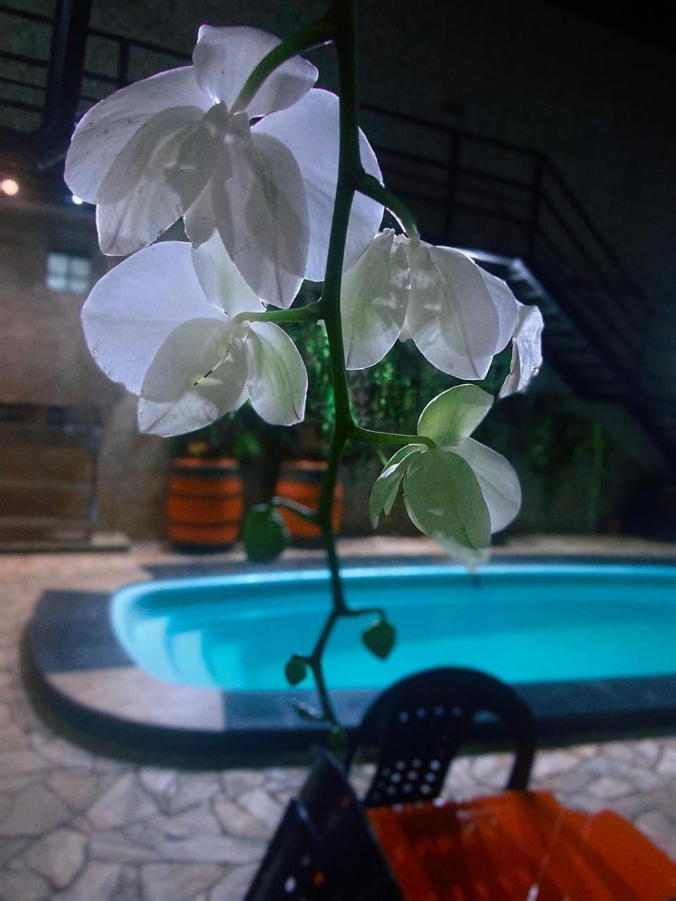 Gravata Hostel *